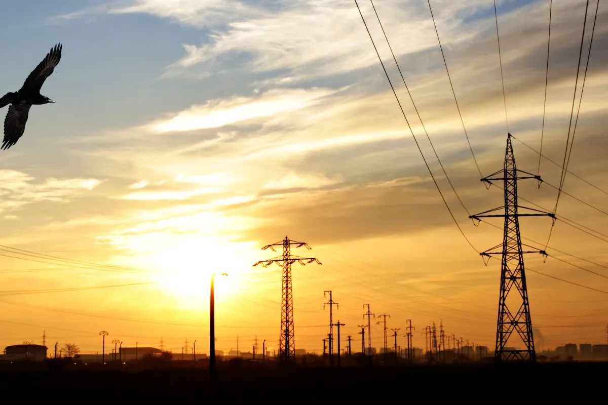 énergies renouvelables